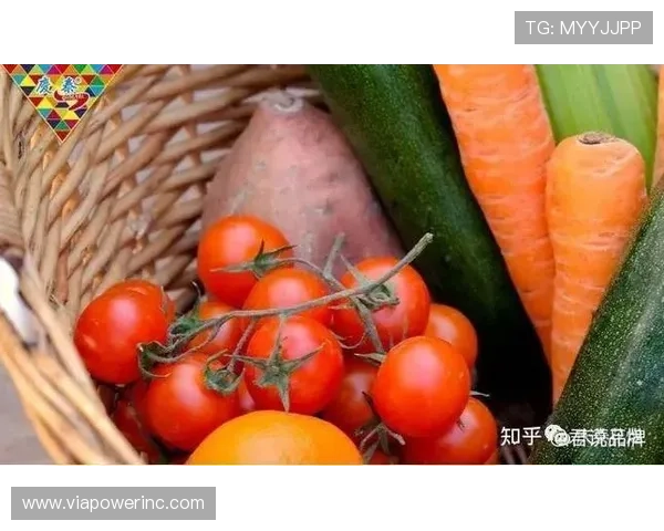 飞驰集团会员注册步骤详解让新手玩家轻松完成注册流程